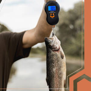 Digital Reisevekt med Krok 50 kg og LCD-skjerm