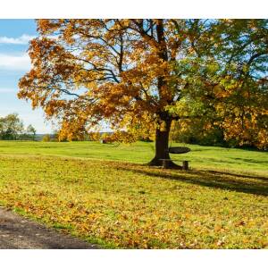 XL svart kompis­huske – 100 cm Ø, 100 kg kapasitet