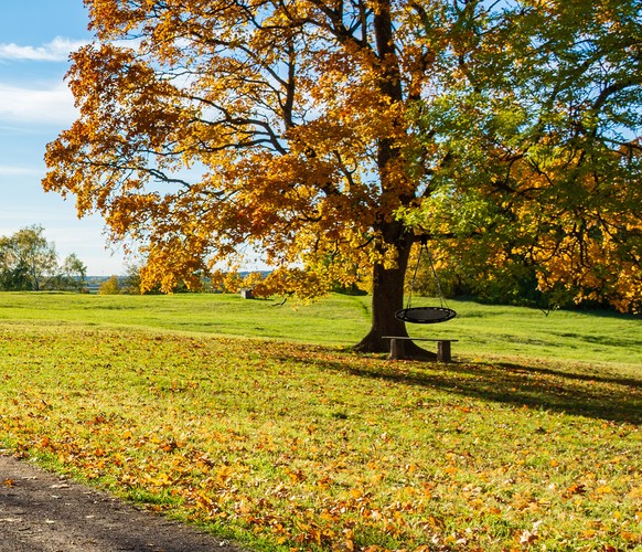 XL svart kompishuske – 100 cm Ø, 100 kg kapasitet