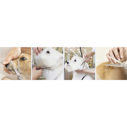 Komplett hundesaksett med rett saks, effileringssaks, buet saks og praktisk kam