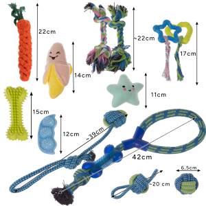 16-delt hundelekesett – tauleker, biteleker & praktisk tilbehør