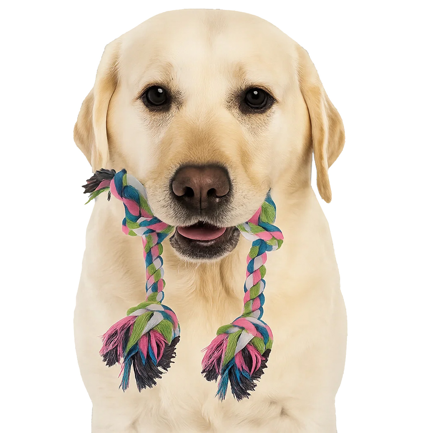 16-delt hundelekesett – tauleker, biteleker & praktisk tilbehør