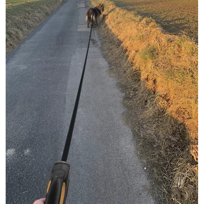 Hundebånd 5 m – sterkt fleksibånd med sikker låsemekanisme