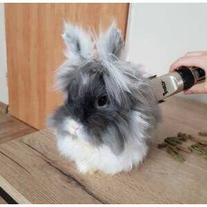 Hundeklipper – komplett sett