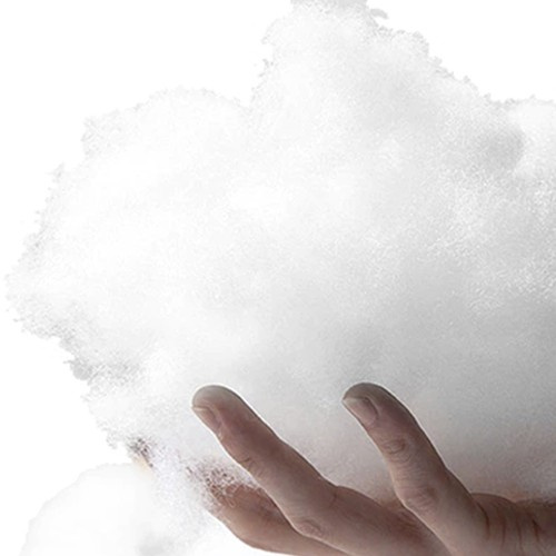 Myk hundeseng og katteseng med tykk polstring – varm og komfortabel dyreseng i flere størrelser