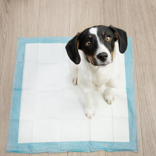 Absorberende Hygieniske Underlag Hvit 60 x 60 cm 50 stk Med 30 Poser - Bilde 14