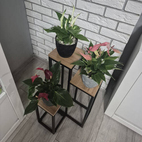 Blomsterstativ Brun 67 cm Metall - Bilde 2
